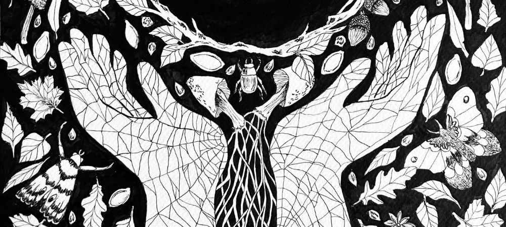 new-moon-magic-seeds