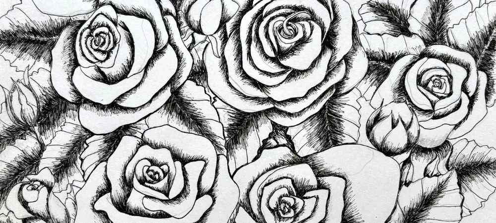 roses-5